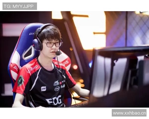 数据分析：深入探讨JDG在赛季中的技术表现与战术应用